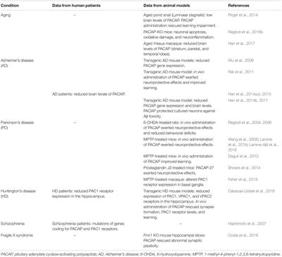 Pituitary Adenylate Cyclase-Activating Polypeptide Modulates Hippocampal Synaptic Transmission and Plasticity: New Therapeutic Suggestions for Fragile X Syndrome